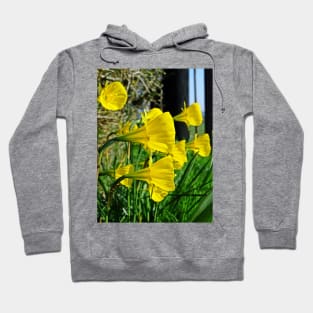 Golden Bells Hoodie